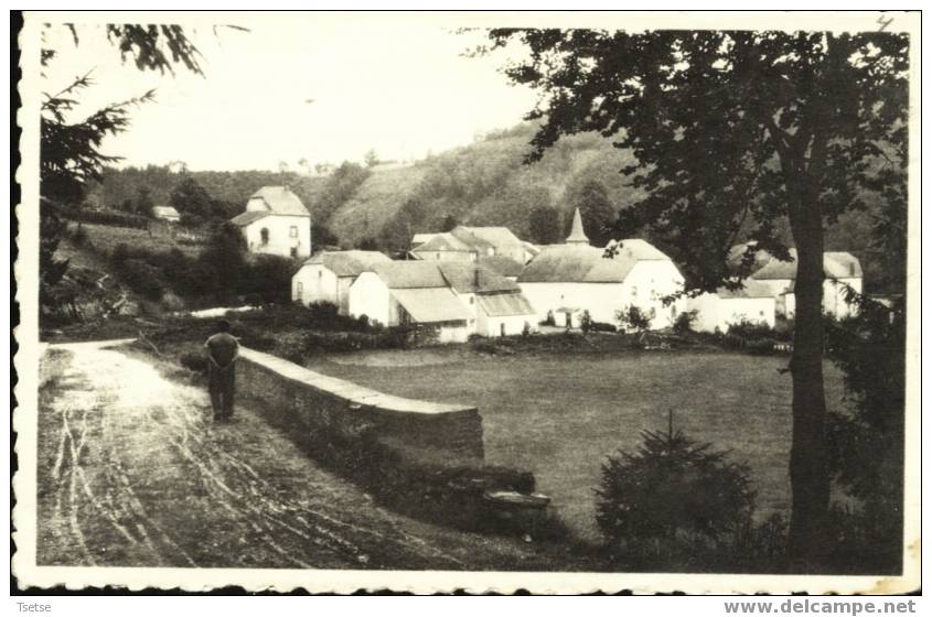 Grummelange  - Vue Du Village - Martelange