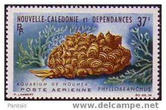 NOUVELLE CALEDONIE PA 77 Et 78 * - Unused Stamps