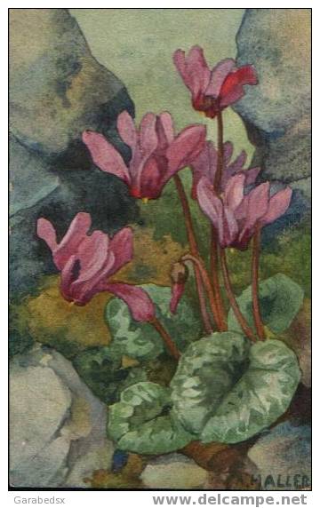 CPA FANTAISIE ILLUSTREE FLEURS. Carte N° 315. - Haller, A.