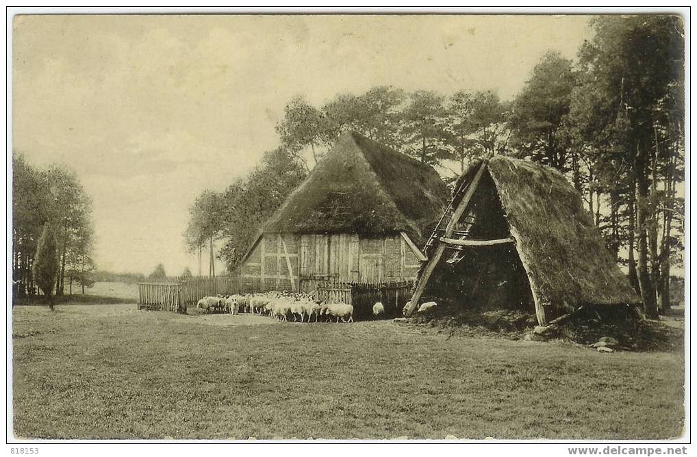 LÜNEBURGER HEIDE   Wörmer Schafstall - Lüneburger Heide