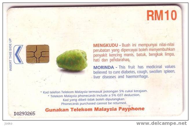 Malaysia - Morinda Fruit  -  Malaisie - Malaysia