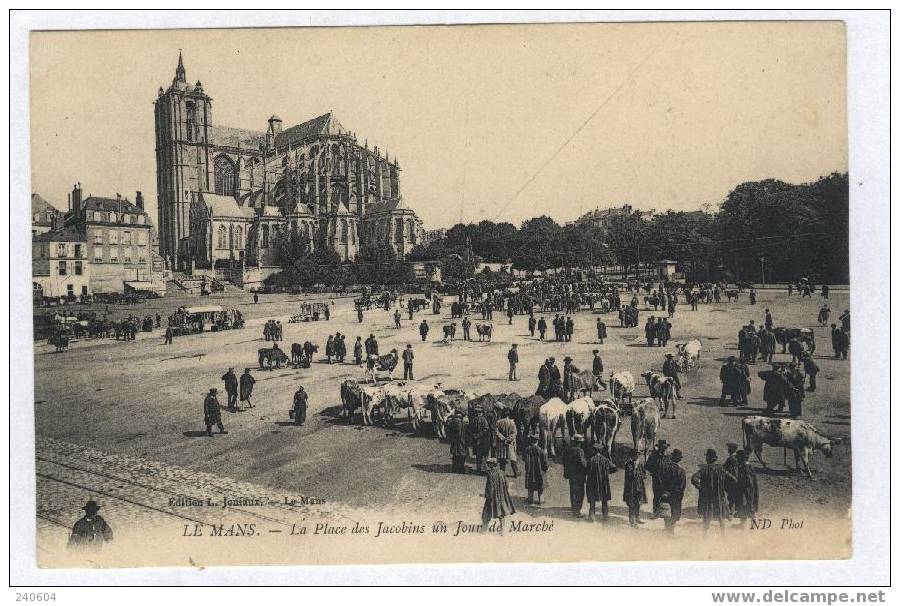 LE MANS  --  La Place Des Jacobins Un Jour De Marché - Le Mans