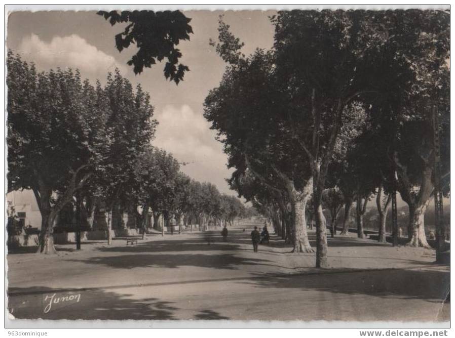 CARPENTRAS - ALLEE JEAN JAURES - Carpentras