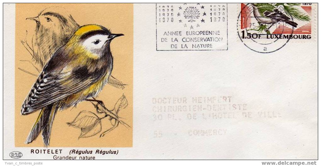 LUXEMBOURG FIRST DAY COVER PREMIER JOUR ANNEE EUROPEENNE DE LA NATURE OISEAU LE ROITELET - FDC