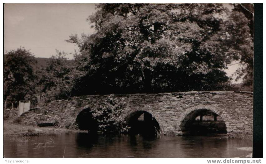 Le Pont De Vresse Photo Carte - Vresse-sur-Semois