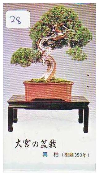 Telefoonkaart Japan BONSAI (28) - Bloemen