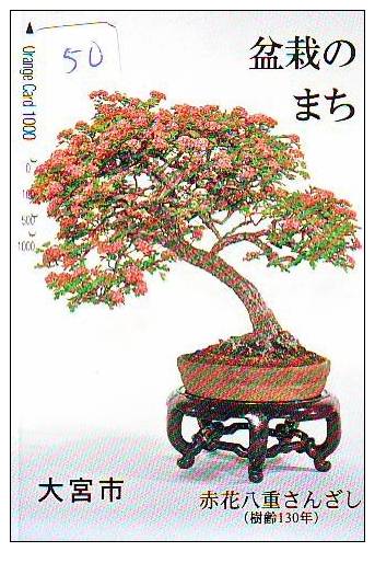 Telecarte Japan BONSAI (50) - Fleurs