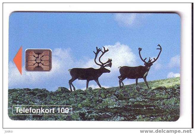 DEER ( Sweden ) *** Daim - Cerf - Buck - Hirsch - Ciervo - Cervo - Hert - Deers - Daims - Bucks * - Suède