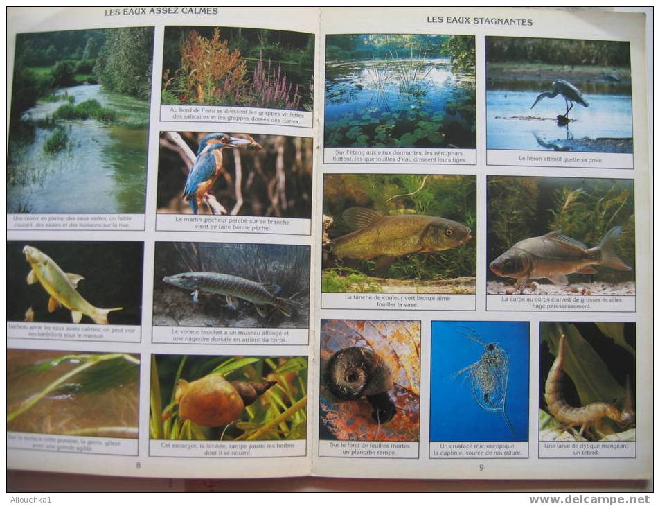 PANINI   VIGNETTES AUTOCOLLANTES THEME SUR LE MONDE DE L'EAU DOUCE N° 7/03 LIVRETS REALISES PAR PROFS ECOLE NORMALE 1990 - Autres & Non Classés