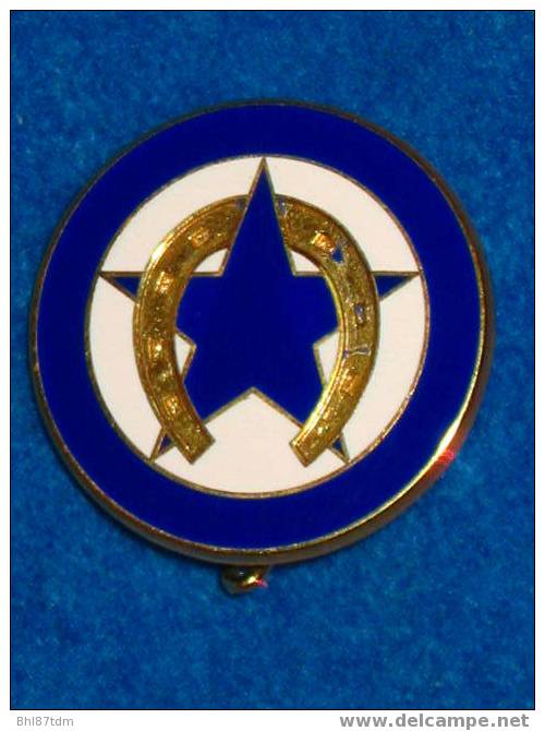 Légion Etrangère, 4° Rgt Etranger, Insigne De Compagnie - Hueste