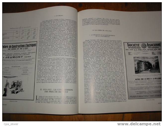 MINEURS DES CEVENNES, Mines Tome II, 1914-1930, Nombreuses Photos, Cartes Postales, Documentation, F. Sugier, 1994 - Books & Catalogs