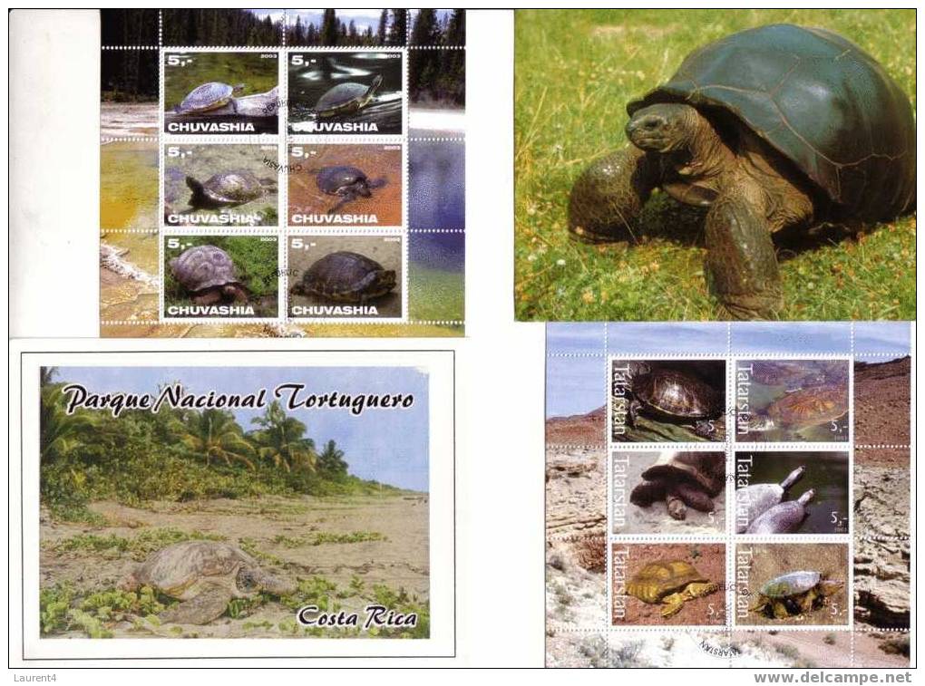 Carte Et Timbres De Tortue / Tortoise Postcard And Stamps - Schildkröten