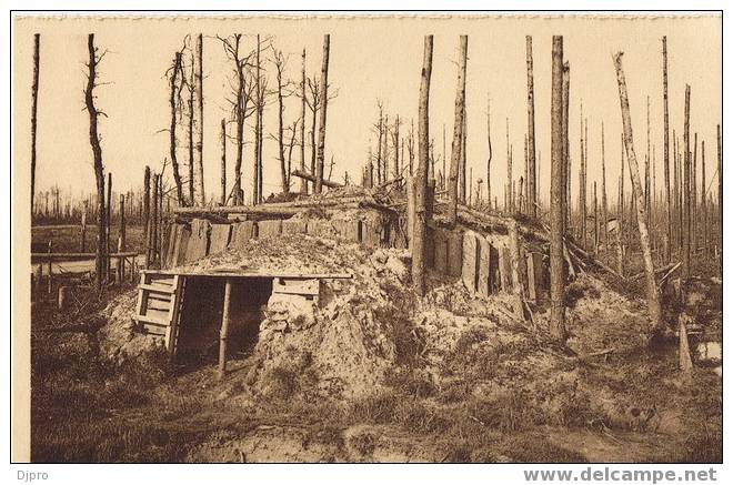 Houthulst Bos / Ruines De La Foret D'hou Hulst 1914 1918 - Houthulst