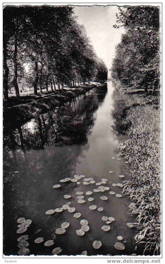 Carte Postal  45.  Briare  Le Vieux Canal  Nénuphares - Briare