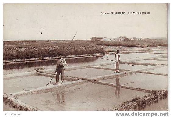 ANGOULINS    MARAIS SALANTS - Angoulins