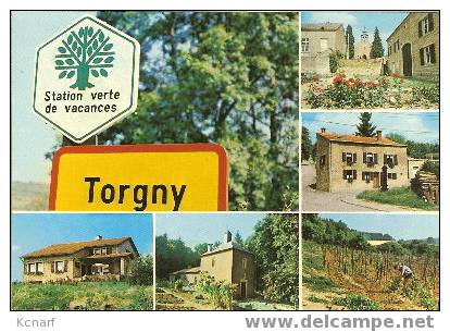 CP De TORGNY " Torgny " . - Rouvroy