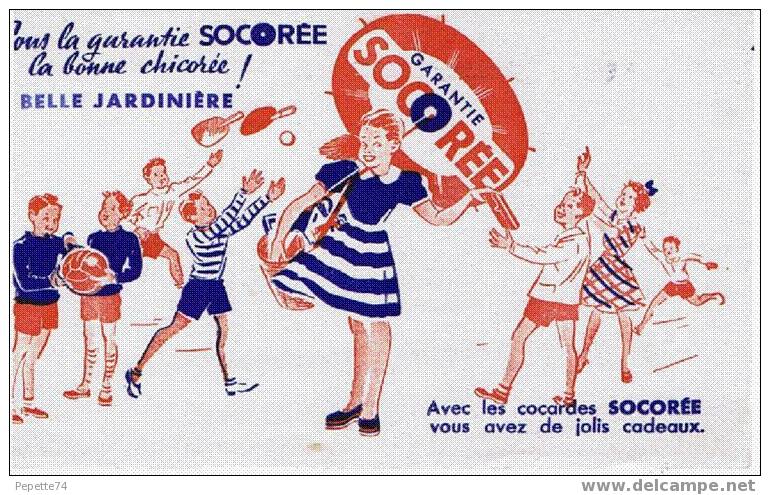 Buvard Chicorée Socorée - S