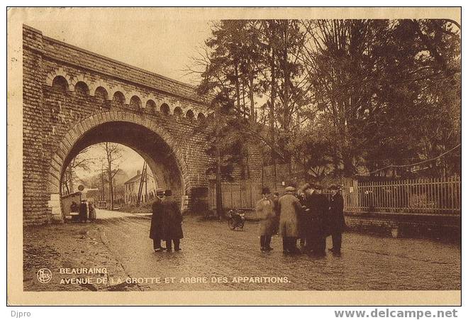 Beauraing Avenue De La Grotte Et Arbre Des Apparitions - Beauraing