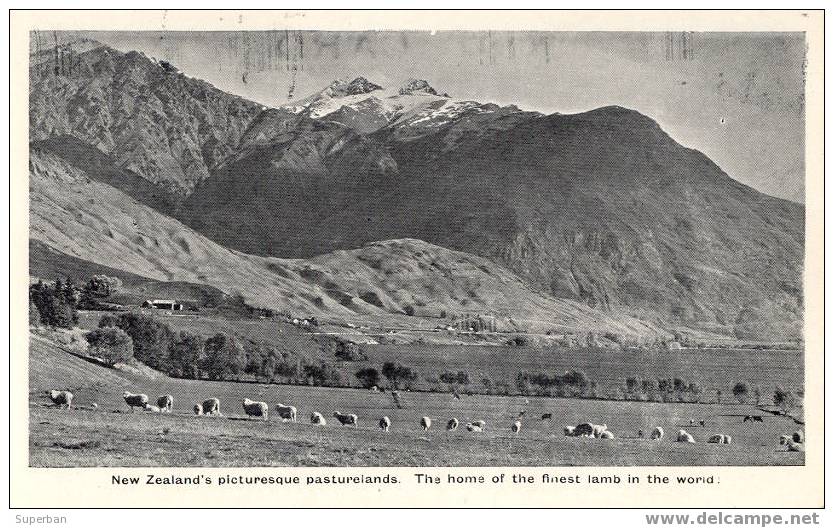 NEW ZEALAND - PUBLICITÉ : ÉLEVAGE De MOUTONS / THE FINEST LAMB IN THE WORLD - PASTURELANDS... (z-234) - Nouvelle-Zélande