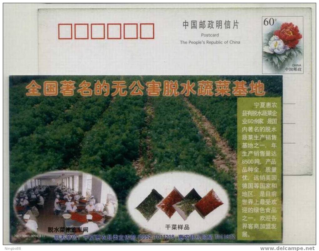 China 2002 Ningxia Base Of Free-pollution Dehydration Vegetable Advertising Postal Stationery Card - Vegetables