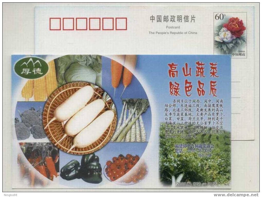 Mountain No-pollution Radish,cabbage,corn,China 2000 Wuci Vegetable Association Advertising Pre-stamped Card - Vegetables