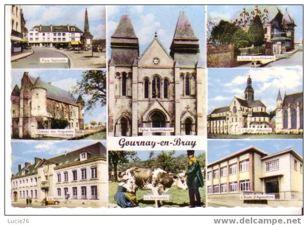 GOURNAY EN BRAY - 8 Vues - Gournay-en-Bray