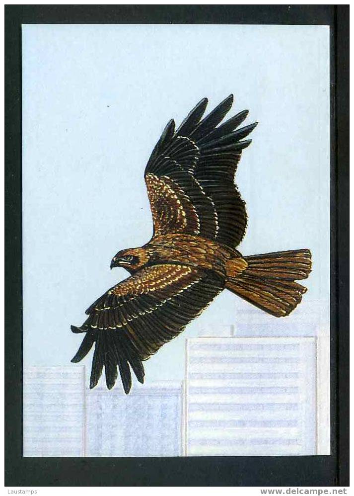 Hong Kong 1988 Black Kite Maxi-Card First Day Cancelled - Aigles & Rapaces Diurnes