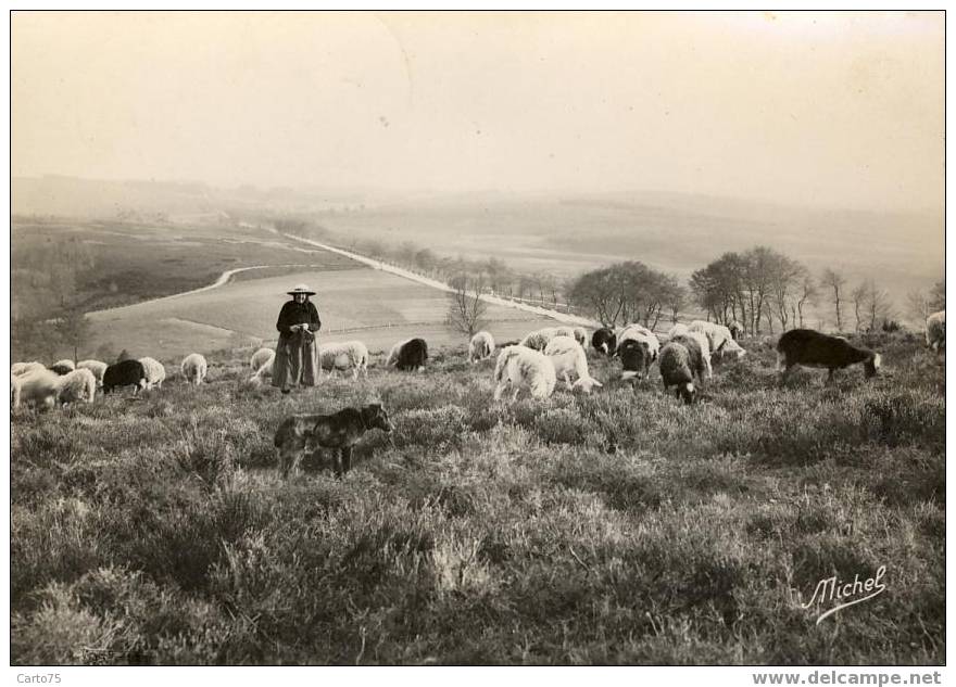 MONT AUDOUZE 19 - Paysage De Haute Corrèze - Bergère - Altri & Non Classificati