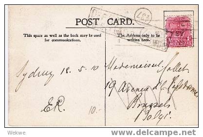 NSW018/ 1910,  Ansichtskarte 20 000 Schafe, Mit Strafporto Von Sydney 18.5.10  Nach Belgien - Covers & Documents