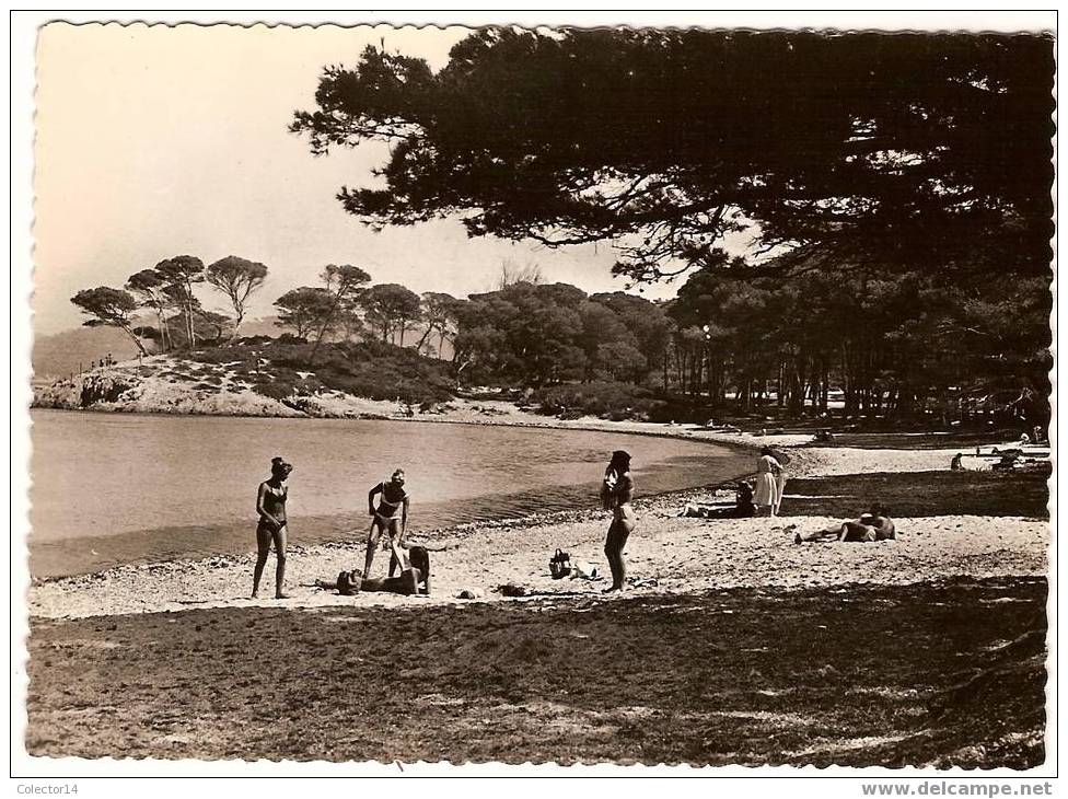 ILE DE PORQUEROLLES LA PLAGE D'ARGENT - Porquerolles