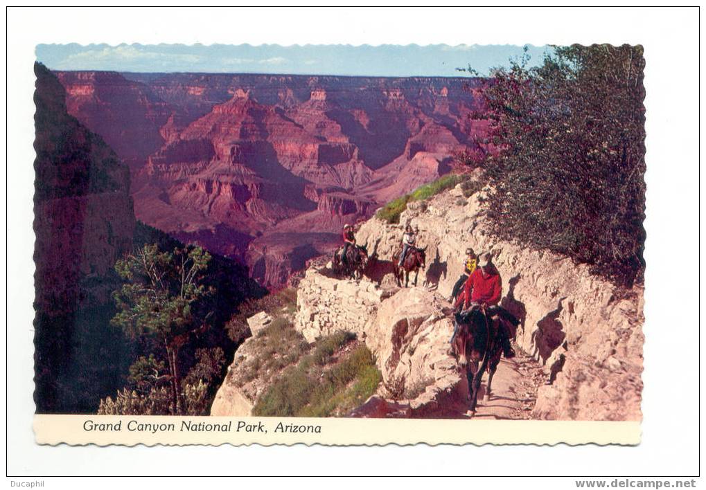 ETATS UNIS GRAND CANYON NATIONAL PARK ARIZONA - Gran Cañon