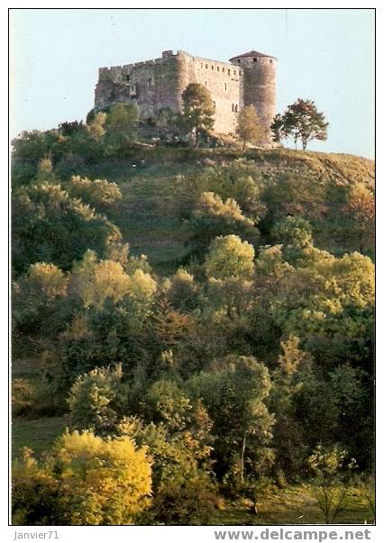 Vic Le Comte. Château Comtal De Busséol (XIIème Siècle). Vue Générale. La Grand'Salle Et Sa Cheminée Romane - Vic Le Comte