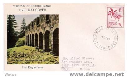 Nor001/ Hibiskusblüte, Einzelwert Auf FDC 1961 N. USA - Norfolkinsel