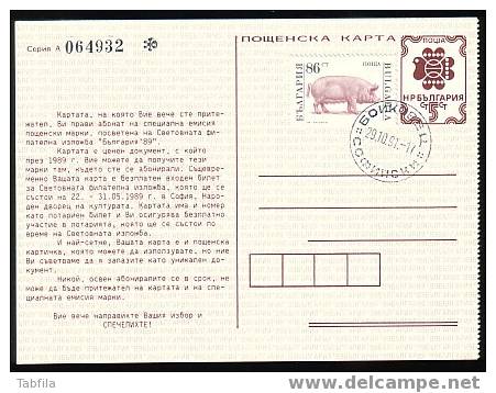 BULGARIA / BULGARIE - 1991 - Porc - P.cart Avec Tim. 86 St.- "porc" Data Cache - Postcards