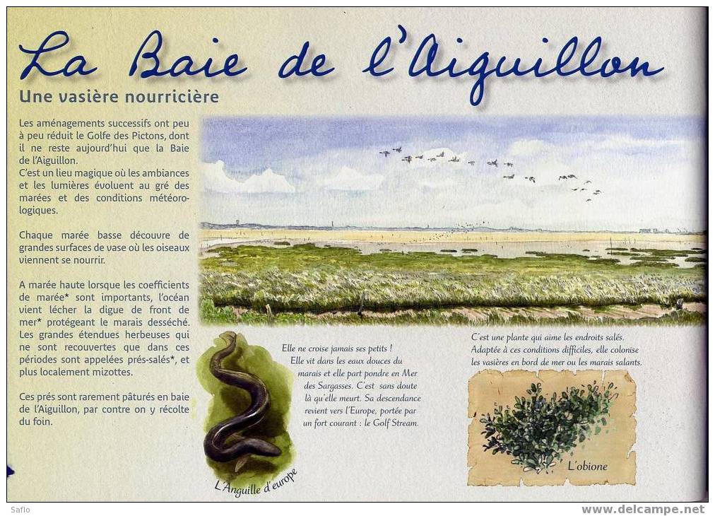 Les Paysages Du Marais Poitevin (Vendée Deux-Sèvres) Livret Illustré D´aquarelles De Denis Clavereul - Natura