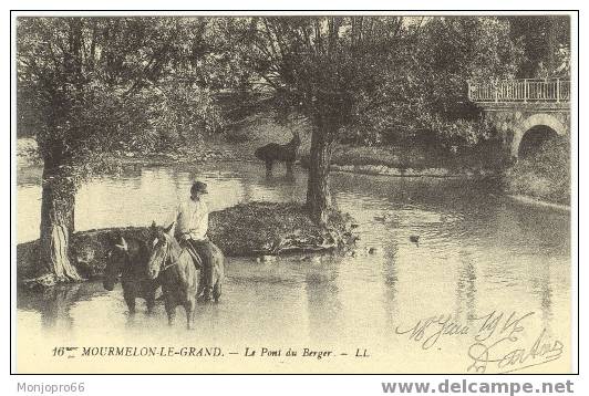 Reproduction CPA De Mourmelon Le Grand, Le Pont Du Berger - Mourmelon Le Grand