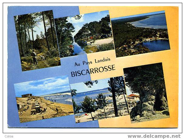 Au Pays Landais Biscarosse Multi Vues - Biscarrosse