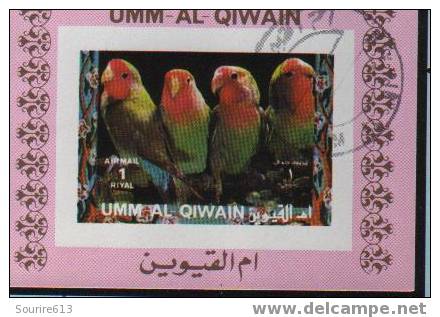 Bf Umm Al Qiwain  Oiseaux Perroquets & Tropicaux - Papegaaien, Parkieten