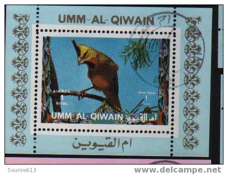 Bf Umm Al Qiwain  Oiseaux Perroquets & Tropicaux - Perroquets & Tropicaux