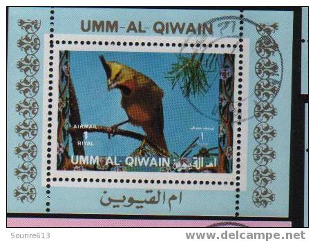 Bf Umm Al Qiwain  Oiseaux Perroquets & Tropicaux - Papageien