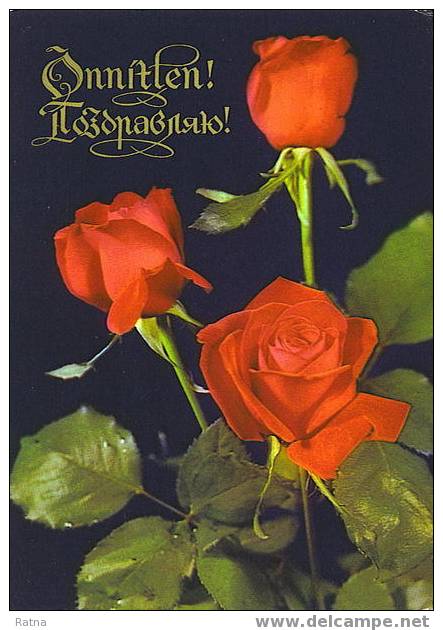Russie : EP Entier Carte Rose Rouge Bouquet Fleur - Roses