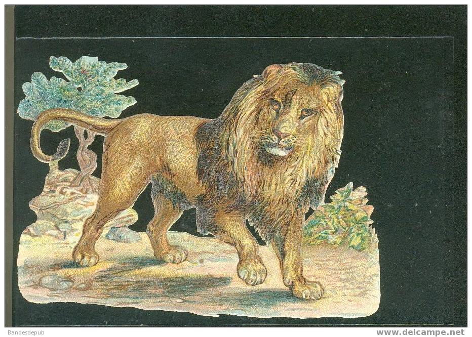 Belle Chromo Découpis Lion - Andere & Zonder Classificatie