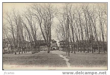 82 - NEGREPELISSE - La Promenade - Place Du Château - Negrepelisse