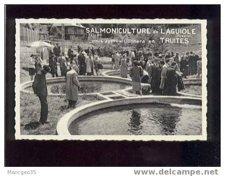 15831 Salmoniculture De Laguiole Vous Approvisionnera En Truites édit.brasserie Lipp & Balzar  Animée  Belle Carte - Laguiole