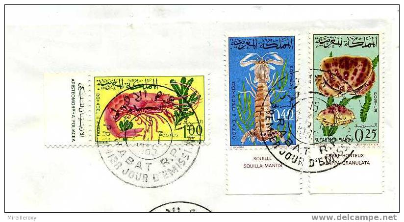 CRUSTACE / CRABE / CREVETTE / SQUILLE /  MAROC SUR LETTRE / - Schalentiere