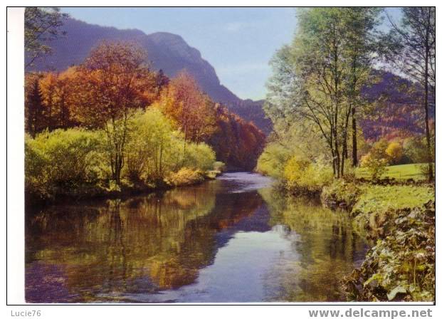 VALLORBE, Les Bords De L´Orbe Et La Dent De VAULION - N° 1712 - Vaulion