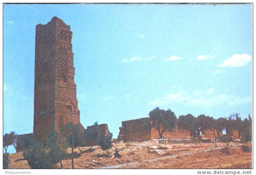 Algérie - Tlemcen : Le Minaret De Mansourah - Tlemcen