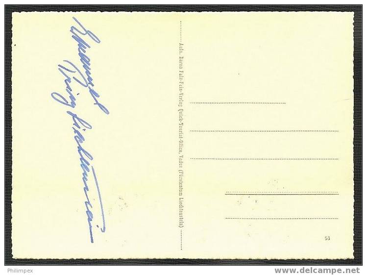 LIECHTENSTEIN, SCOUT CONFERENCE 1953 SPECIAL CARD - Lettres & Documents