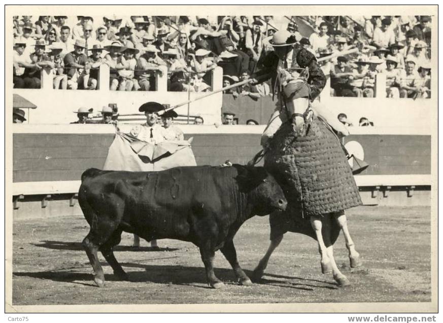 ANIMAUX - TAUROMACHIE - Toros Y Torreros - Un Marronazo - Une Pica Manquée - Taureaux