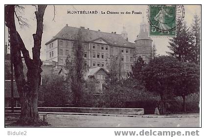 Le Chateau Vue Des Fosses - Montbéliard